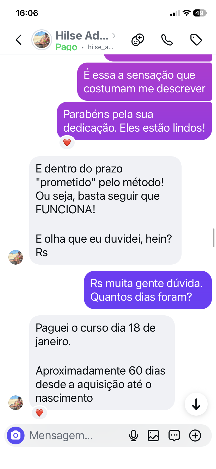 Recorte do print original — Hilse