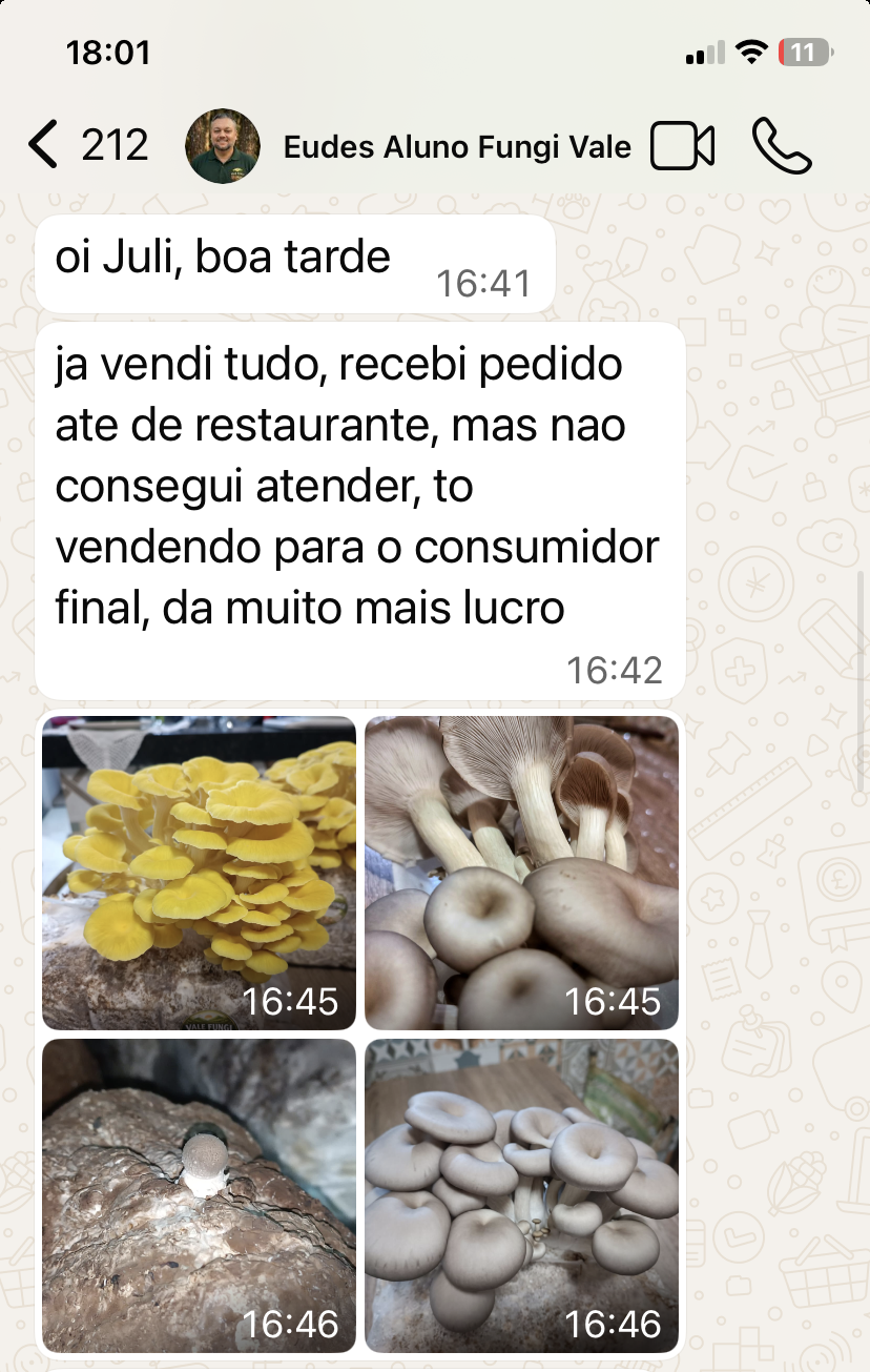 Recorte do print original — Eudes