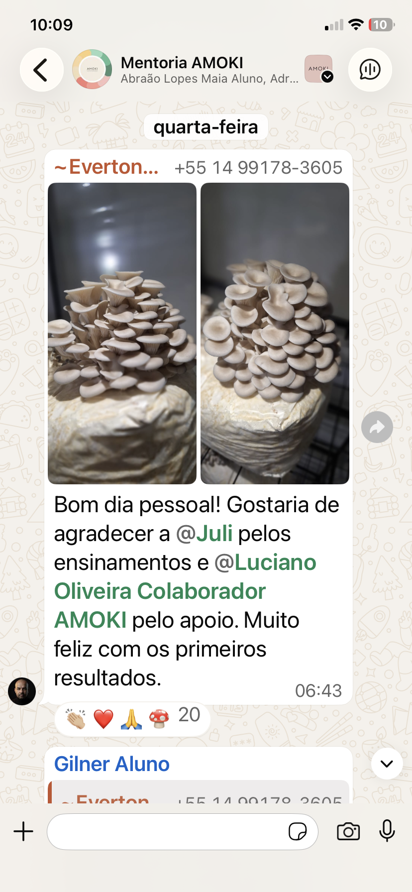 Recorte do print original — Everton