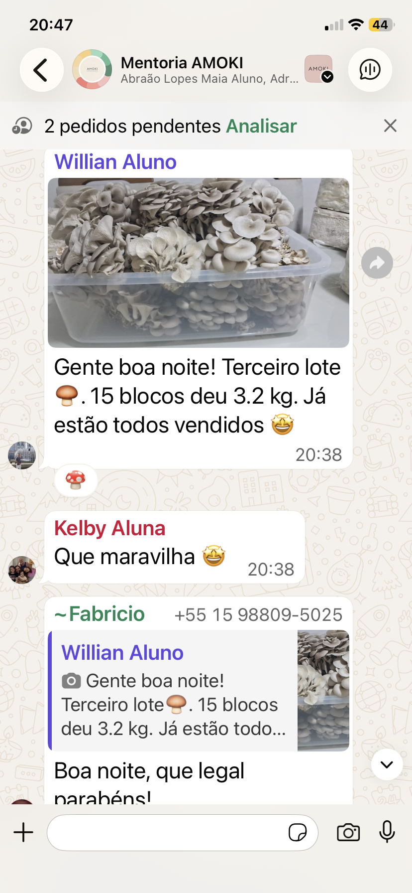 Recorte do print original — Willian
