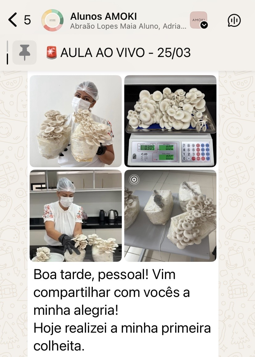 Recorte do print original — Ana Paula