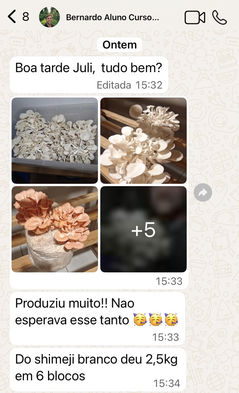 Recorte do print original — Bernardo